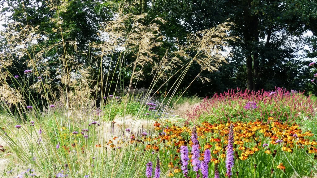 Uitjes omgeving Joure